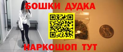 индика Бердск