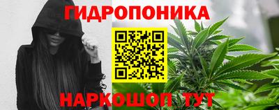 амф Лесосибирск