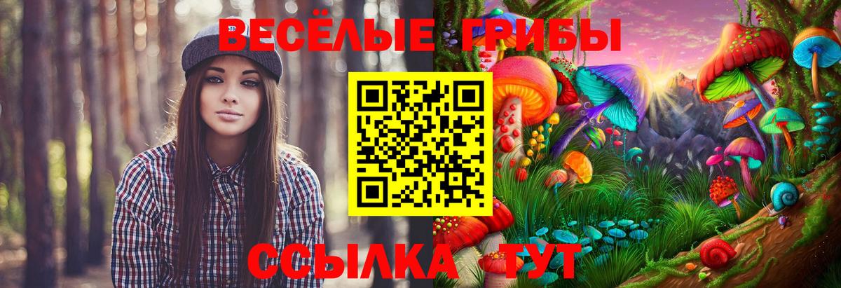 Гашиш  COCAIN  Меф   Зеленодольск  Каннабис  Вход с VPN 