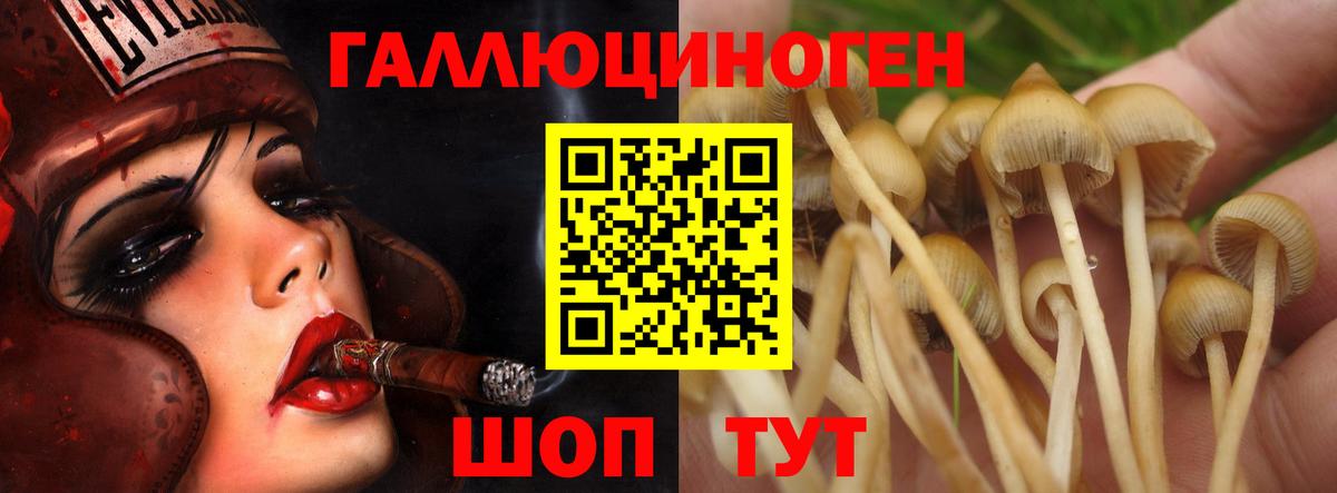 Псилоцибиновые грибы MAGIC MUSHROOMS  Галлюциногенные грибы MAGIC MUSHROOMS  Зеленодольск  Вход с VPN 